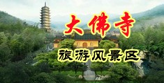 无毛骚逼中国浙江-新昌大佛寺旅游风景区